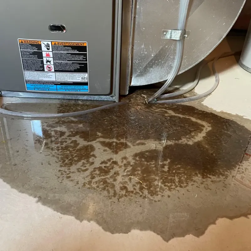 Appliance Leak Cleanup in Jefferson, NH